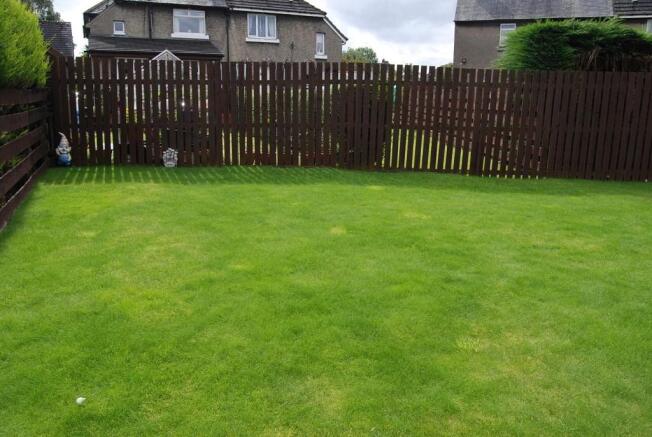 Back Garden