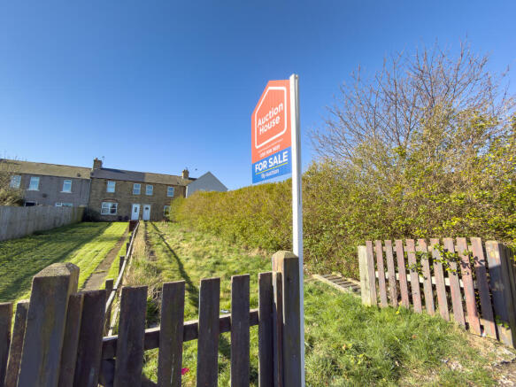 IMG 4937 T202603271542.jpg