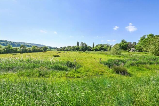Field Views