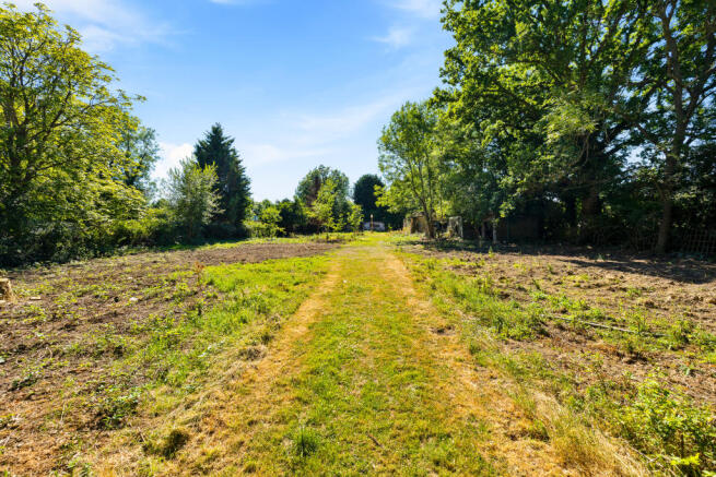 ground image (8).jpg