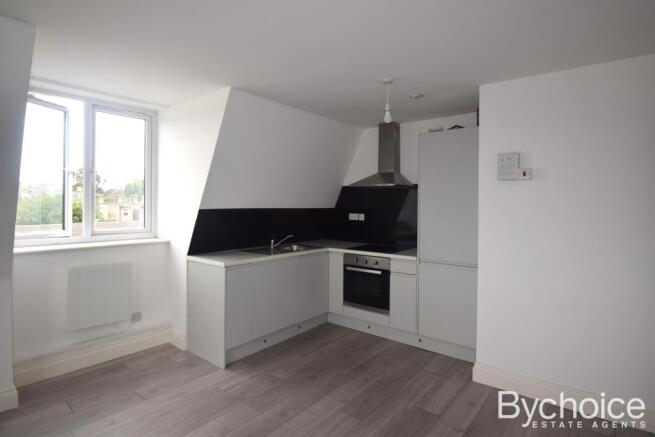 Kitchen/Living Area