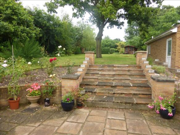 Photo 10