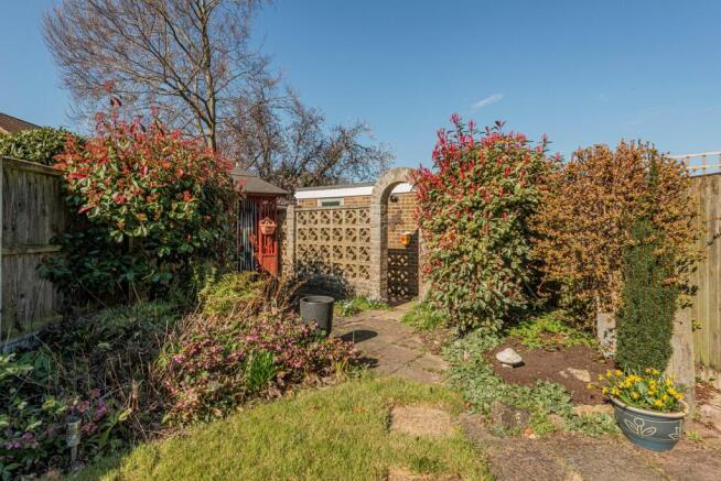 Garden (4)