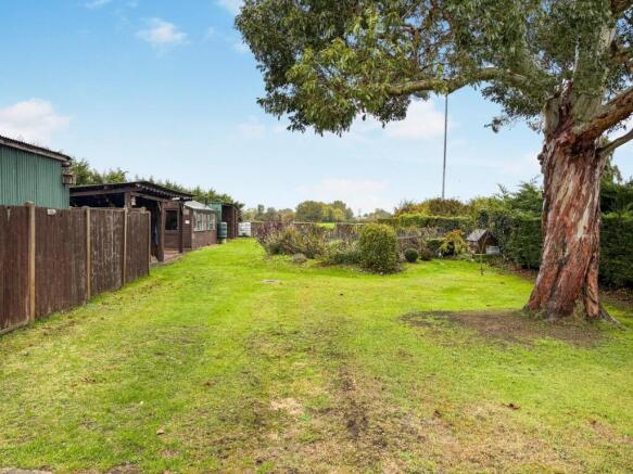 tlc_a9b95dc5-2eba-49df-bd94-7f4115395e8c_0b71c96.j