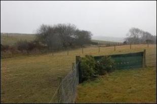 The Garden and Land