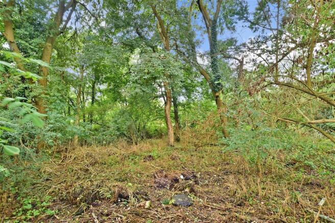 Surrounding Area