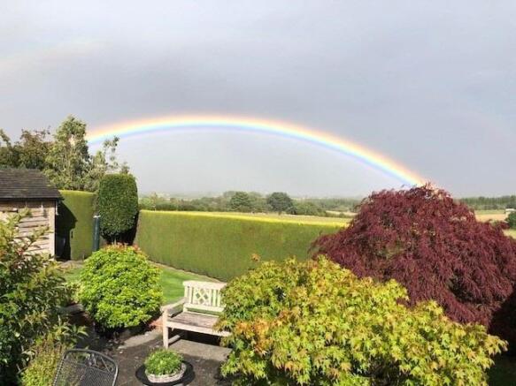 Owners photo of garden