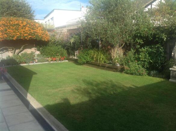 garden 6.jpg