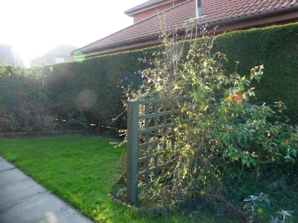 Side Garden
