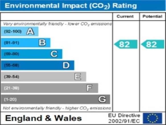 ENVIRONMENTAL IMPACT