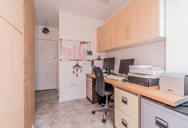Study Area