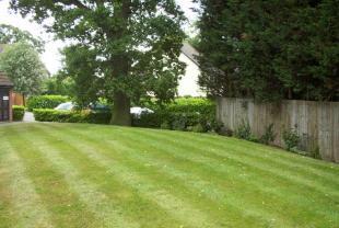 Gardens