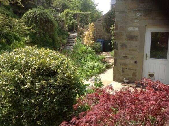Photo 18