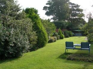 Garden 3