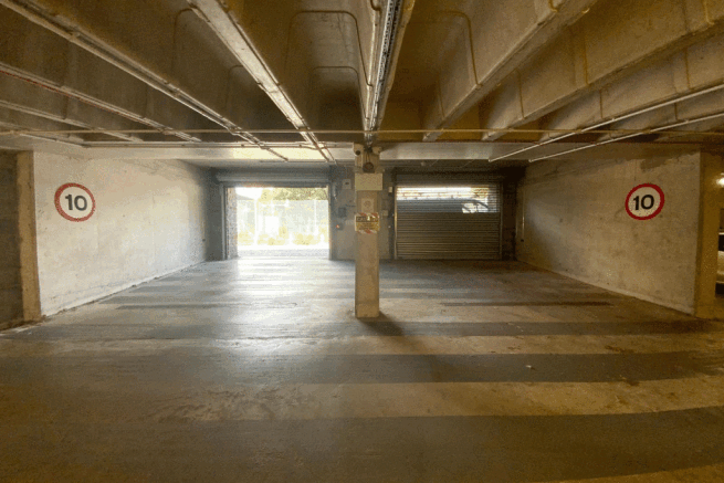 IMG_1113.gif