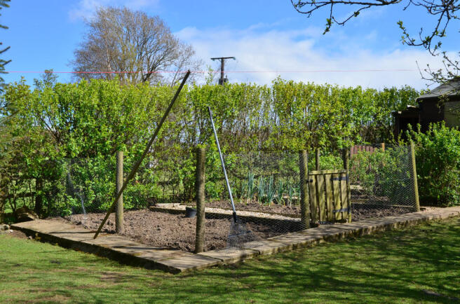 Vegetable Area