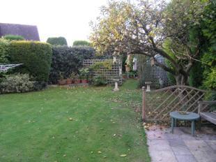 Picture No.10