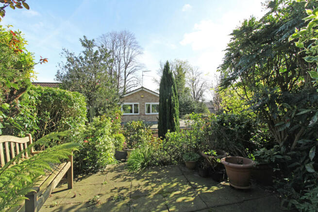 Photo 17