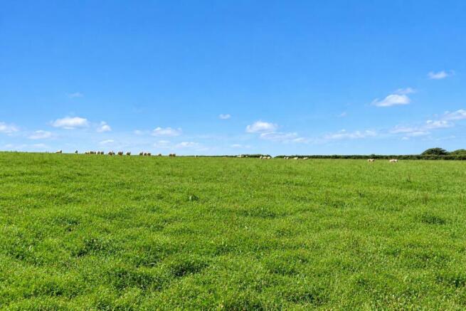 Grass / Arable Land