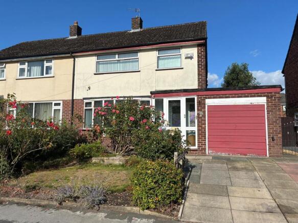 AM.jpeg