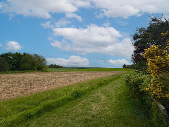 Walking Distance Views