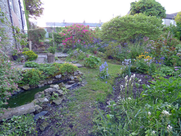 Photo 11