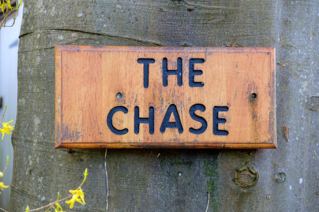 The Chase