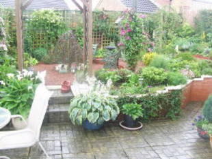 Photo 8