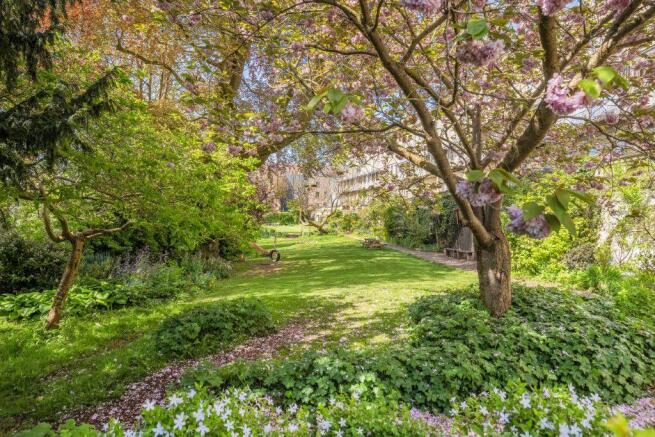 Communal Gardens