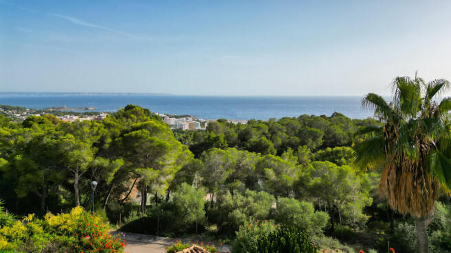 DJI_0805.jpg