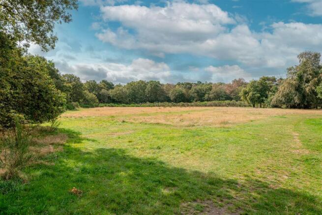 Nearby Burnham Beeches