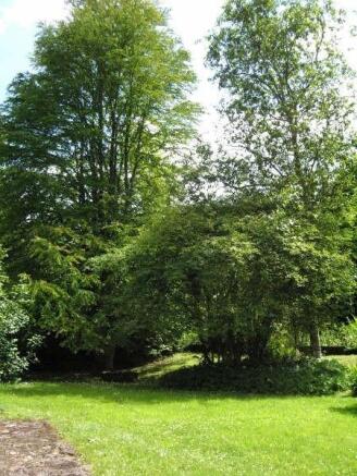 front garden