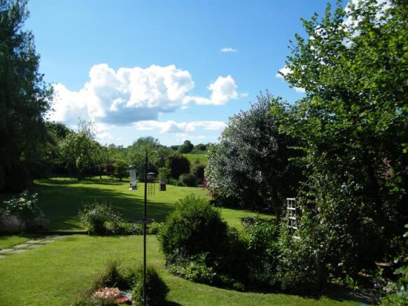 new garden 5.JPG