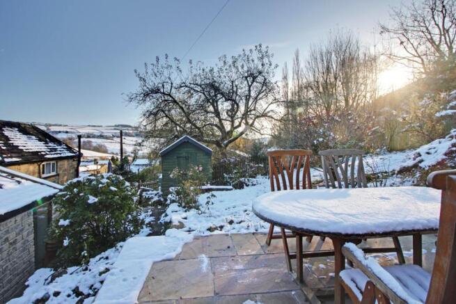 Back Garden
