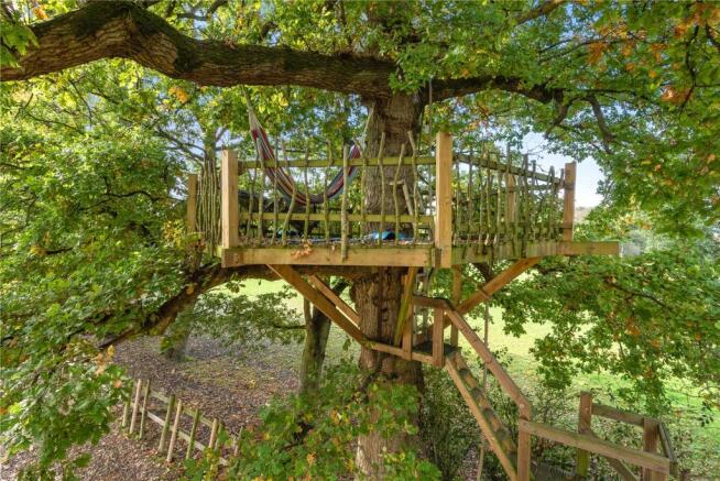 Tree House