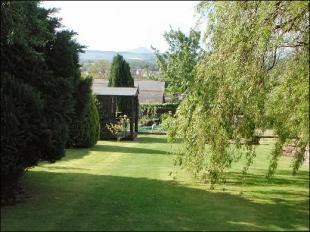 Garden 4