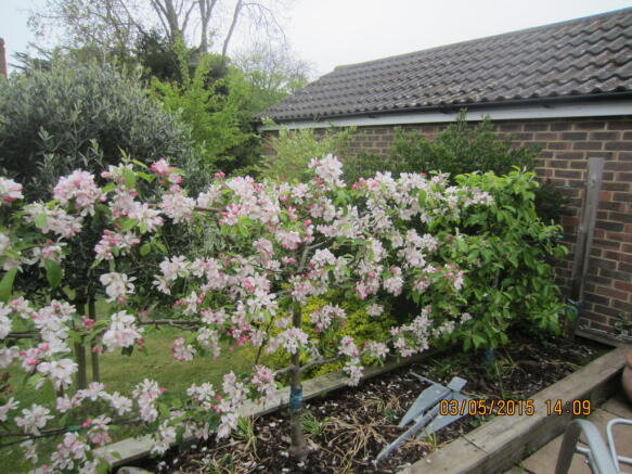 Photo 16