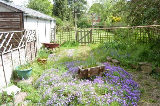 Top Rear Garden