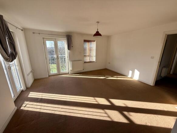 IMG 3082 T202511171447.jpeg