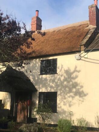 New Thatch