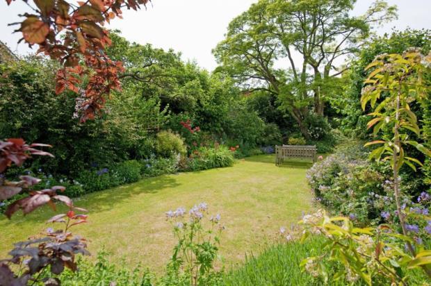 Garden 2