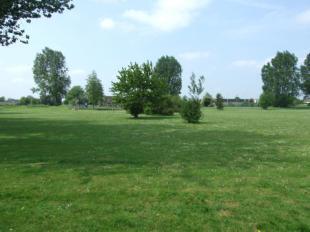 View Over Park