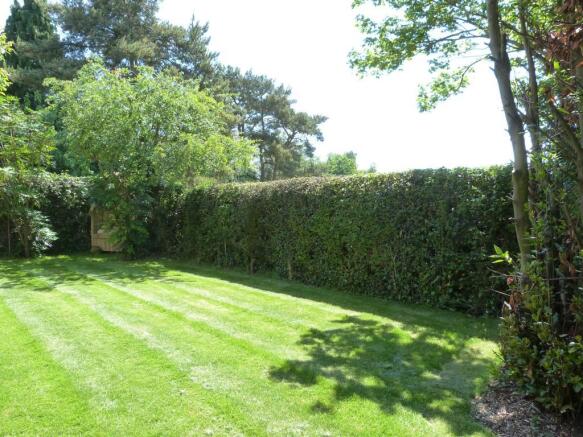 24.Rear Garden