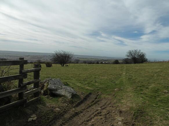 Fields