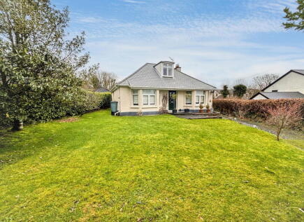 Foxgloves, Mary Tavy...