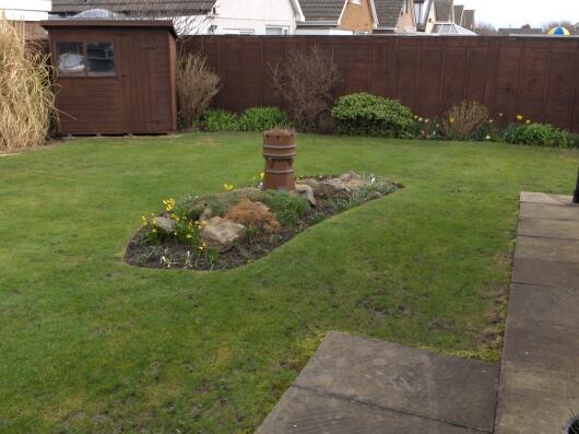 Photo 5