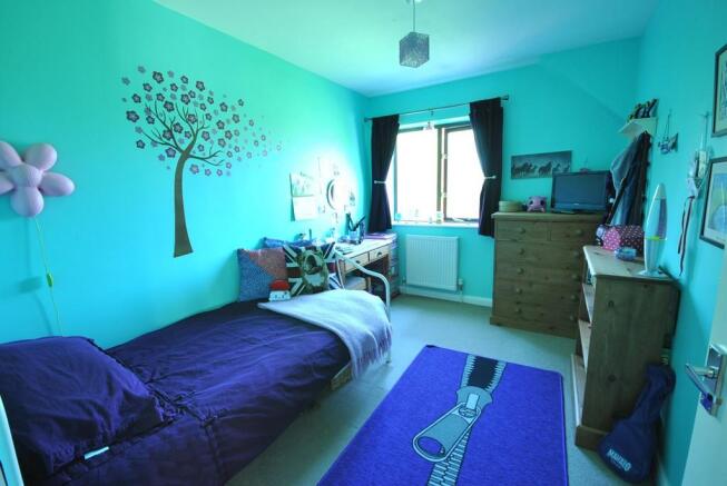 Photo 15