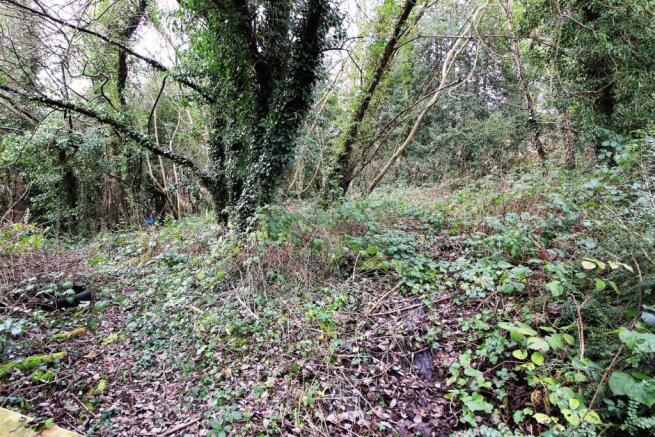 Woodland.JPG