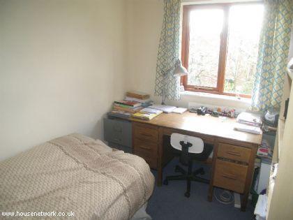 Photo 33