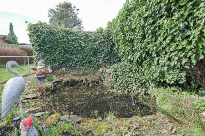 Pond